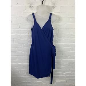 Everlane Blue Mini Dress